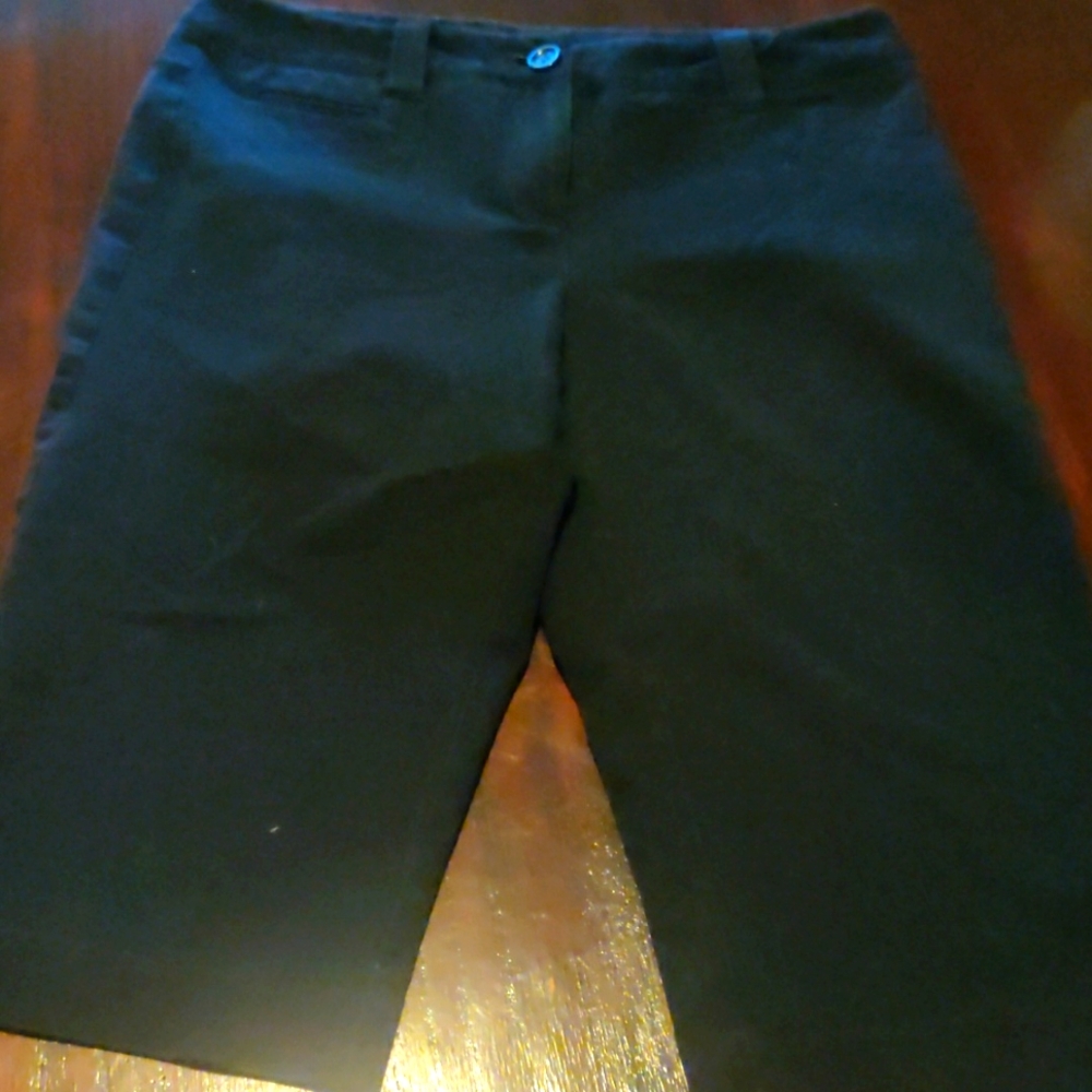 I-n-c shorts